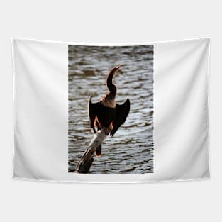 Cormorant In The Sunlight Tapestry