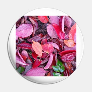 Autumn leaves Pin