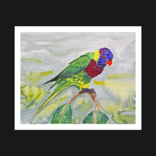 Rosella parrot T-Shirt