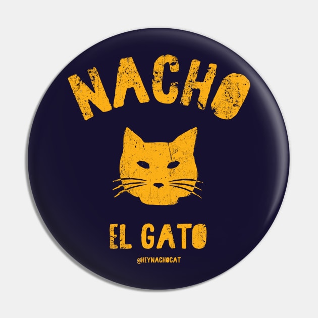 Pin on Gatos