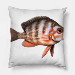 Cute Perch Drawing Pillow