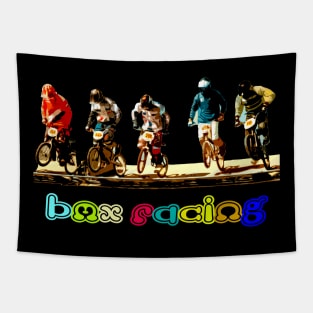 bmx Tapestry