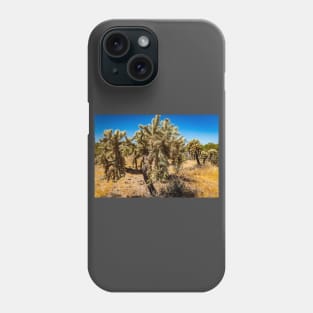 Cholla Cactus along the Apache Trail Phone Case