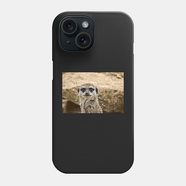 Meerkat Phone Case by InspiraImage