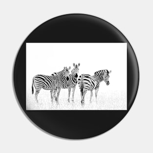 Zebra Trio in Winter Grass | African Wildlife Pin