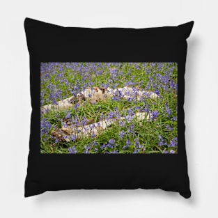 Bluebells Pillow