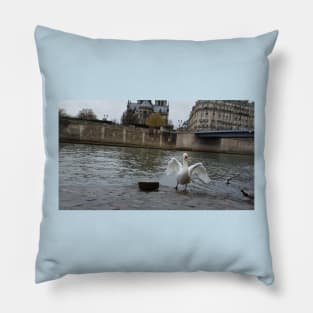 Paris Swans in the River Seine Pillow