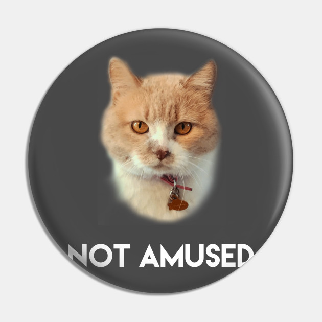 Not Amused Face Of A Cat Catshirt Pin Teepublic