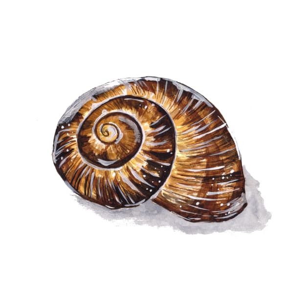 Brown Snail Shell by ZeichenbloQ