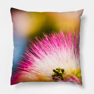 Exotic summer pink silk tree mimosa flower Pillow