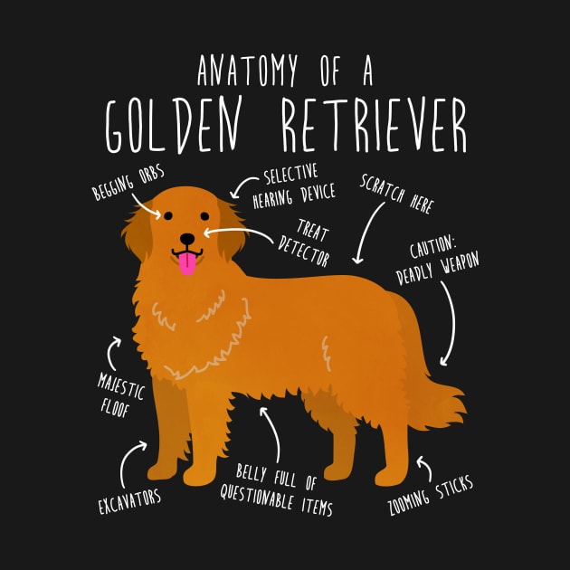 Golden Retriever Anatomy by Psitta
