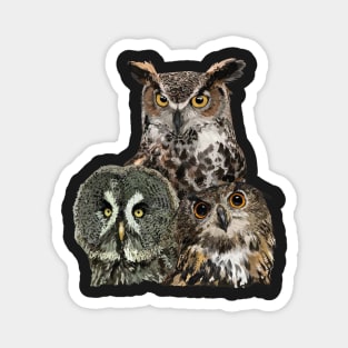 Owls Magnet