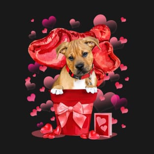 Pitbull Boxer Mix In Red Pot Happy Valentine's Day T-Shirt