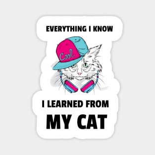 everything I know I learned from my cat Magnet