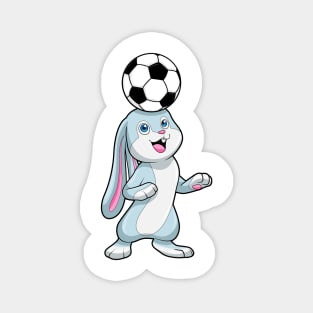 Rabbit Soccer player Soccer ball Magnet