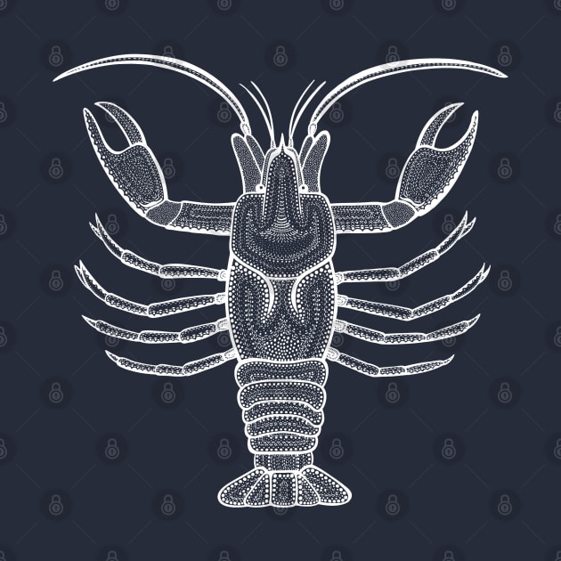 Crayfish or Mudbug Ink Art - cool animal design on dark blue by Green Paladin