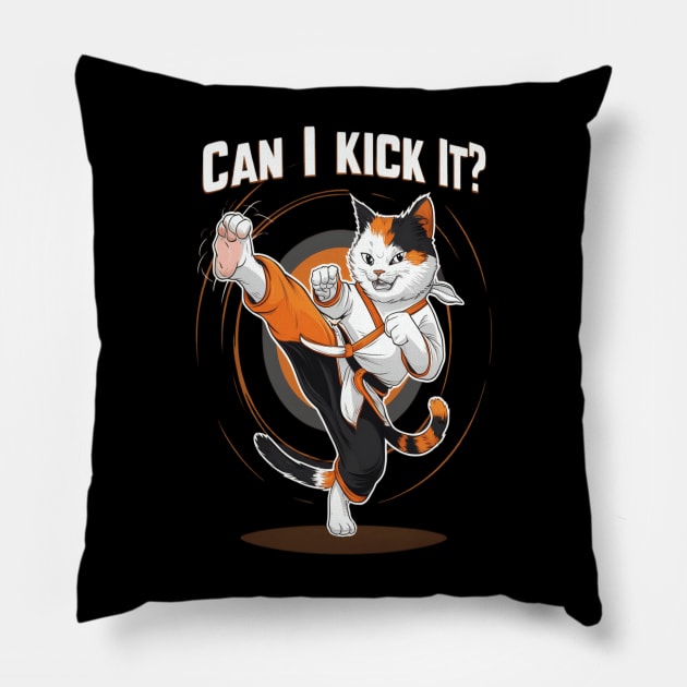 Can I Kick It ? Funny Kung fu cat Pillow by thestaroflove