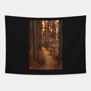 Autumn Stroll Tapestry