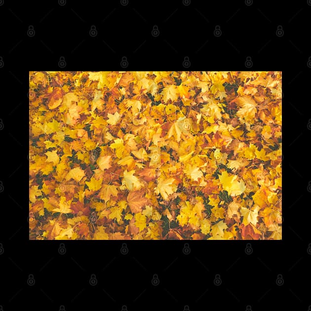 Yellow Fallen Leaves Pattern by mikels