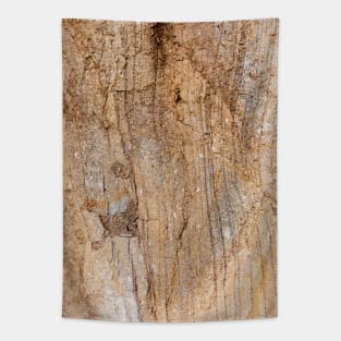 Crushed Erosion Earth Surface Tapestry