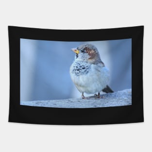 Sparrow Tapestry