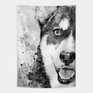 Black And White Half Faced Husky Dog Tapestry