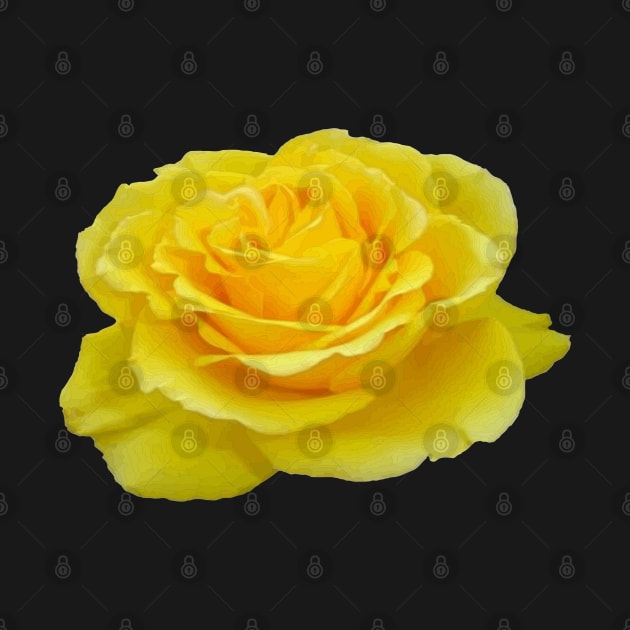Beautiful Yellow Rose Vector Art Cut Out by taiche