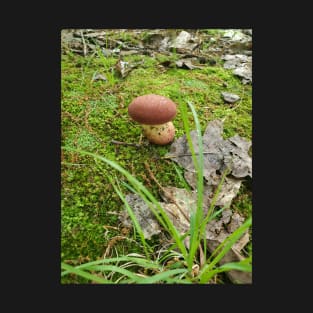 Baby Porcini T-Shirt