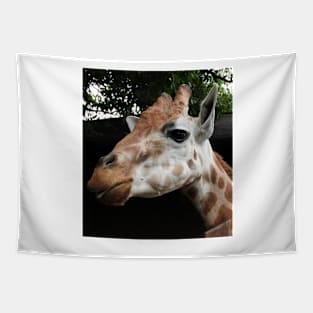 Giraffe Tapestry