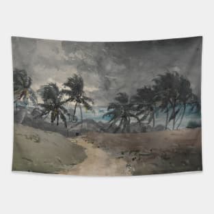 Storm, Bahamas by Winslow Homer Tapestry