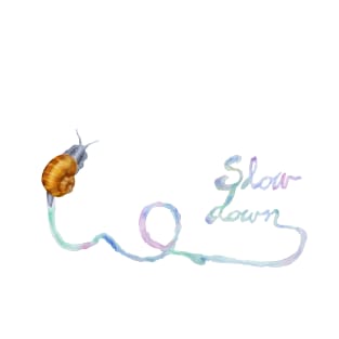 Slow Down Snail T-Shirt