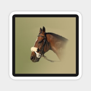 Race Horse Magnet