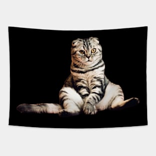 Cat Tapestry