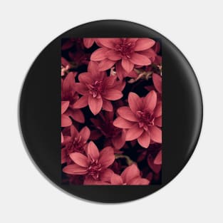 Beautiful Pink Red Burgundy Flowers, for all those who love nature #101 Pin