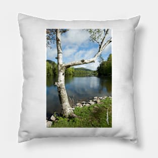 Spring on Woodard Reservoir Pillow