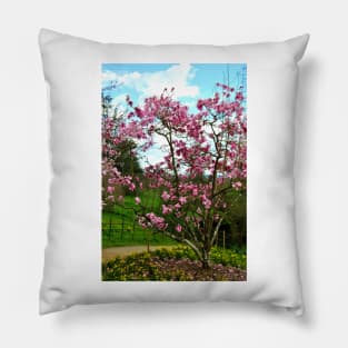 Magnolia Tree Batsford Arboretum Cotswolds UK Pillow