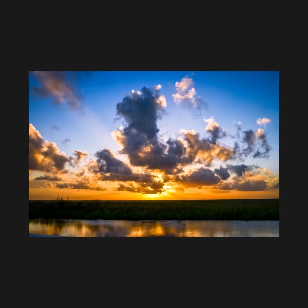 Everglades Sunset by cbernstein