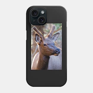 Yearling Phone Case