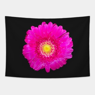 Single intensely bright neon pink daisy close up - summer summer summer ! Tapestry