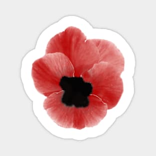 Poppy Print Magnet