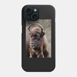 European bison portrait Phone Case