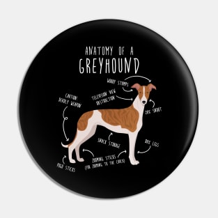 Brindle Greyhound Dog Anatomy Pin