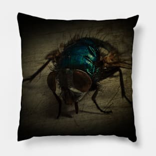 Fly Pillow