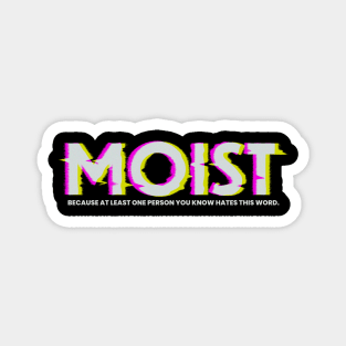 Sarcasm Funny Moist Glitch Magnet