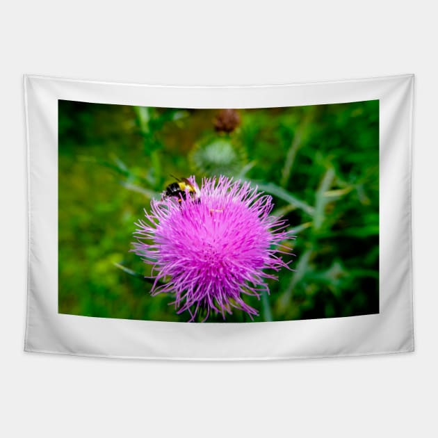 Bee On Pink Flowering Thistle Tapestry by Robert Alsop