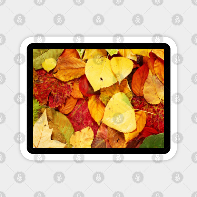 Cute Fall Orange Aesthetic Background Design Fall Aesthetic Magnet Teepublic Orange aesthetic rainbow aesthetic aesthetic colors aesthetic pictures aesthetic pastel summer aesthetic makeup aesthetic book. cute fall orange aesthetic background design