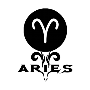 Aries T-Shirt