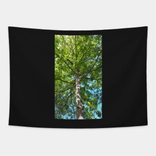 Tree in the park Tapestry