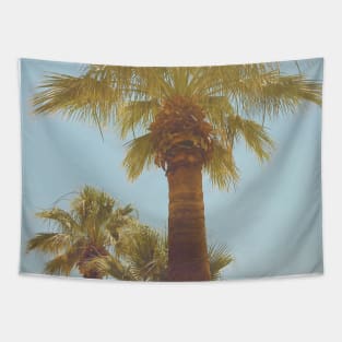 Pretty picture of a Palm Tree. Pretty Palm Trees Photography design with blue sky Tapestry