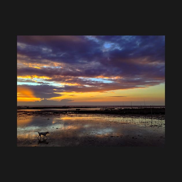 DOG ON THE SUNSET BEACH by likbatonboot